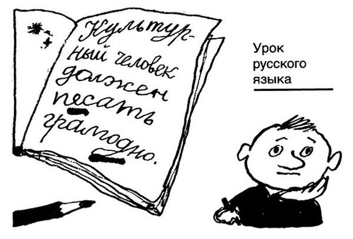 Фрагменты из школьных сочинений Фрагменты из школьных сочинений