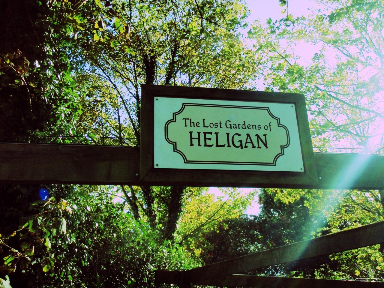 Затерянные сады Хелигана (графство Корнуолл)