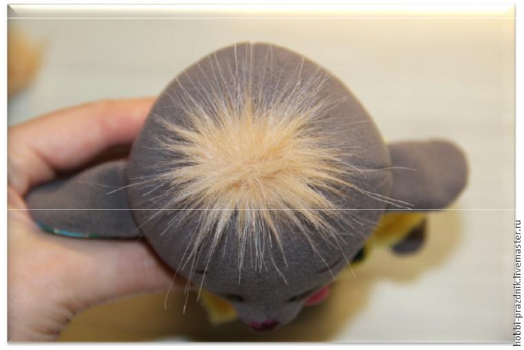 �����: ���� �������