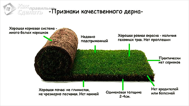 Укладка дерна что это Укладка дерна что это