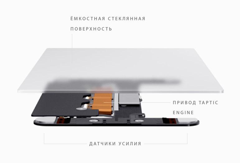 display-1
