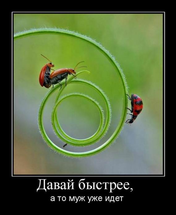 Подогрев настроения Подогрев настроения