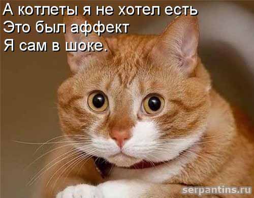 сам в шоке