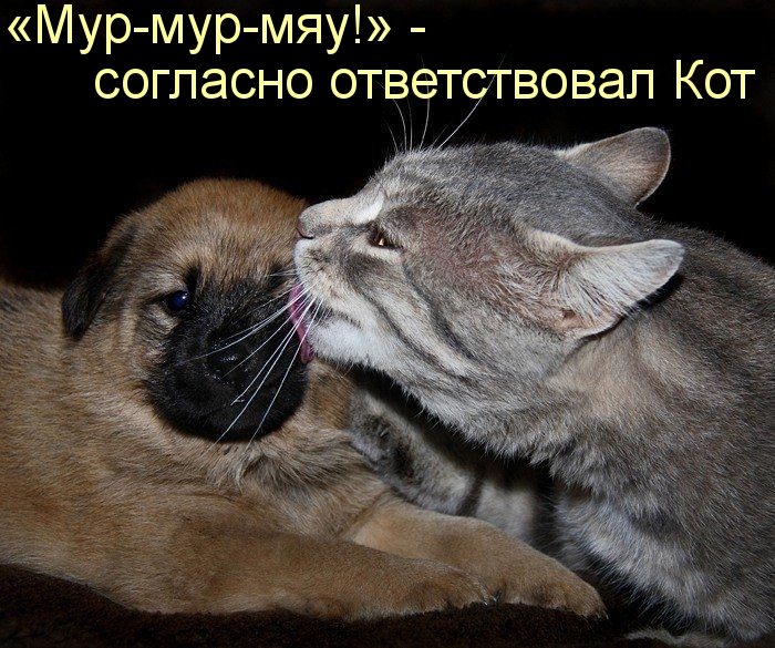 Дружба навеки