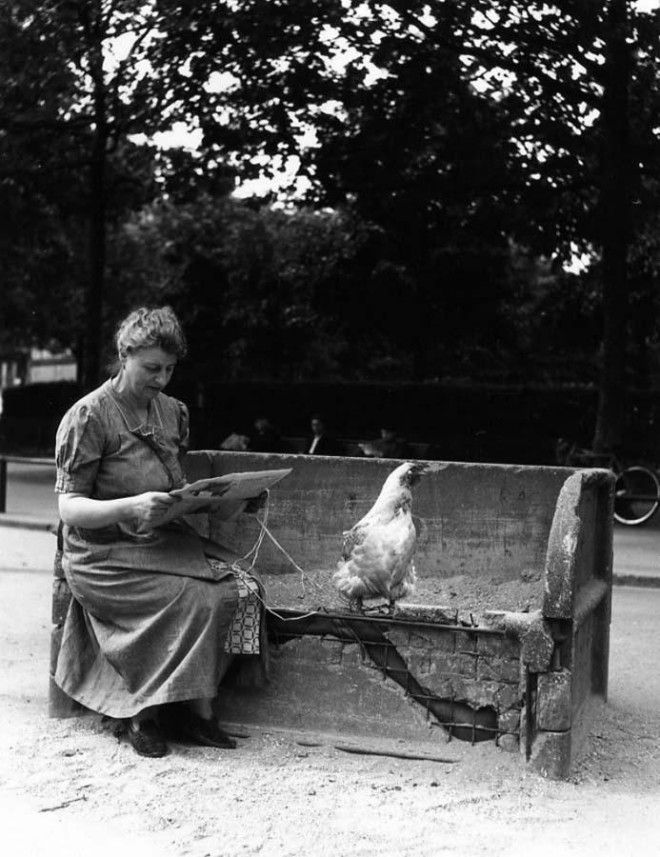 Классика фотографии: ROBERT DOISNEAU Робер Дуано человек который воспел Париж в фотографиях