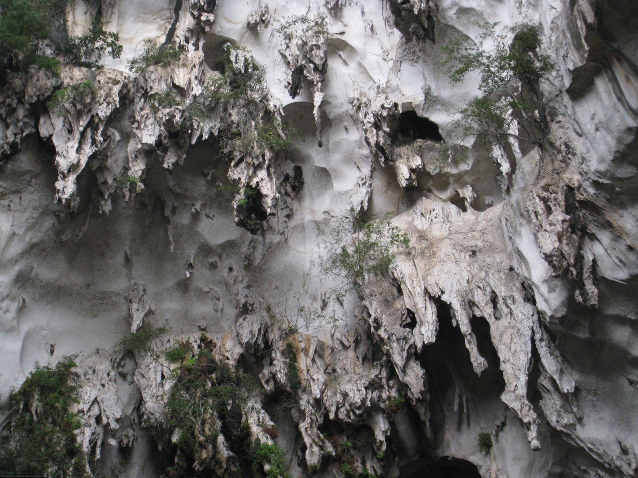 Пещеры Бату Кейвс (Batu Caves). Индонезия. Пещеры Бату Кейвс (Batu Caves). Индонезия.