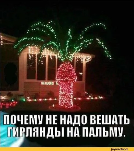 8a1b8a335aee.jpg