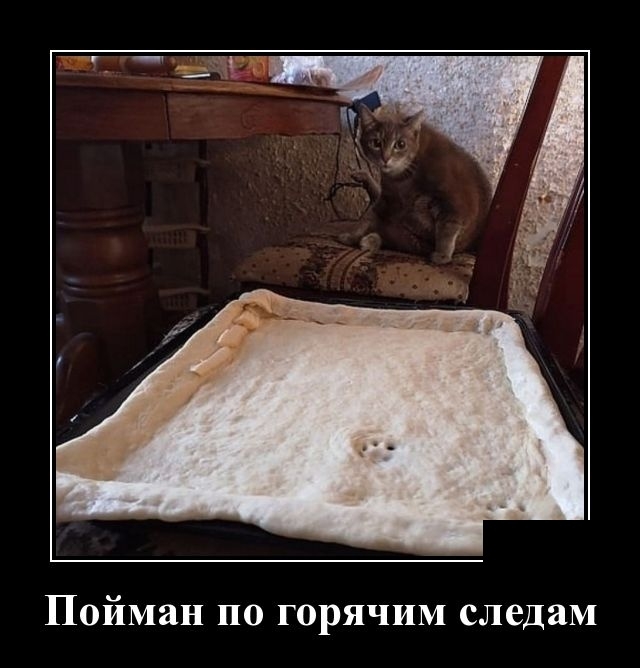 Демотиваторы Демотиваторы