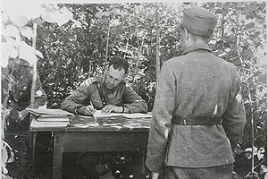 Как 32 младенца превратились в 2 миллиона изнасилованных немок Как 32 младенца превратились в 2 миллиона изнасилованных немок