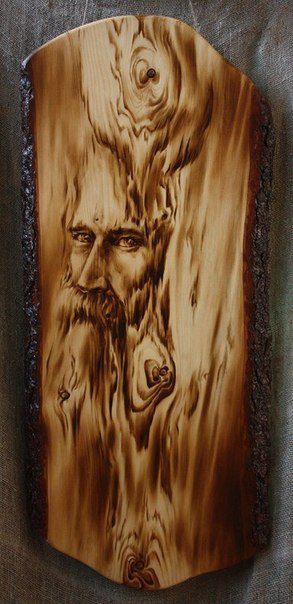 красота, фото, интересное