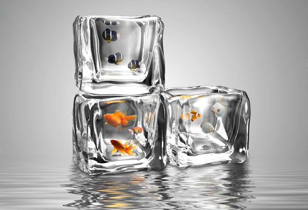 Рыбки во льдах или дизайнерский аквариум-иллюзия