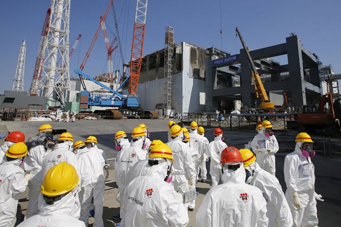 Мутации растений в следствии аварии на АЭС "Фукусима-1" 