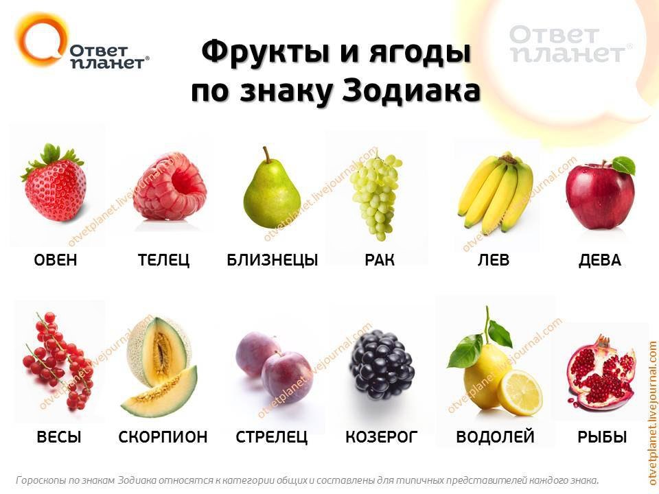 Что вы за фрукт такой? Что вы за фрукт такой?