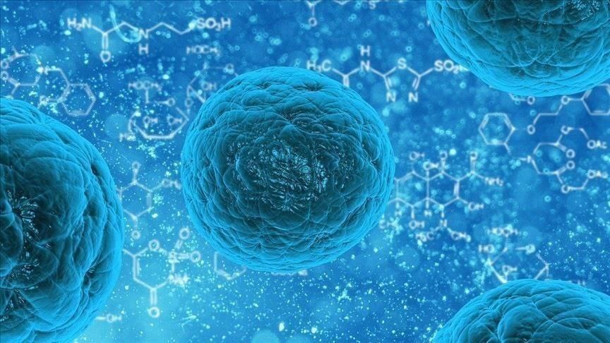 Cell: создан вирус, маскирующий раковые клетки под свиные
