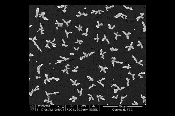 Пример функционального конструкционного материала: частицы кремния на алюминиевом сплаве (микрофотография Monash University).