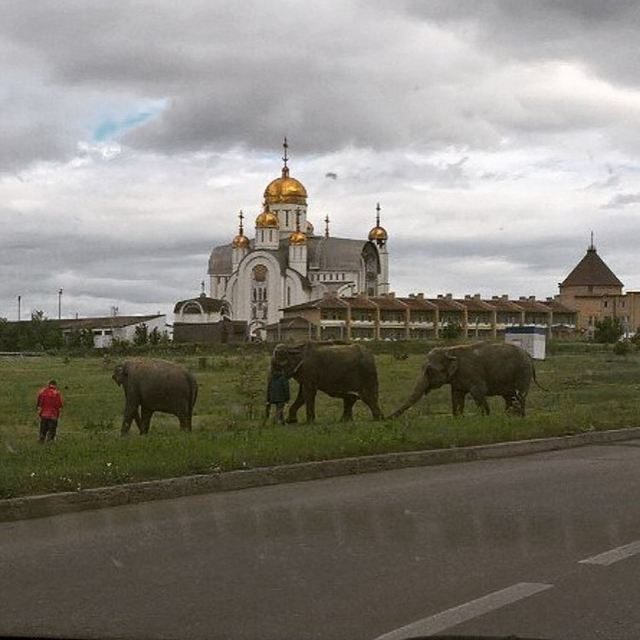 Такое может быть только в России. И смешно, и плакать хочется!