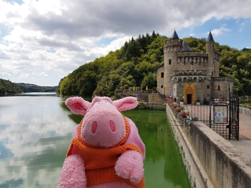 A pig by Le Chateau de la Roche, in France's Loire Valley.