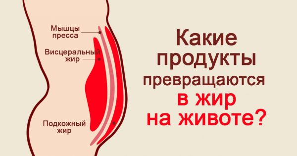 thumb-600x315 (10)