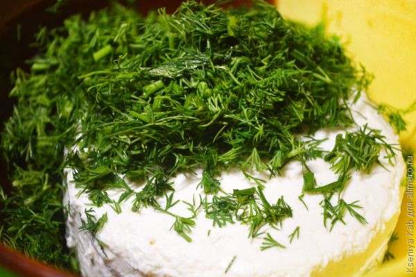 ������ � ��������