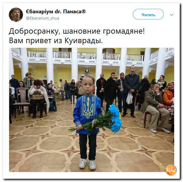Соцсети жгут! С юмором о злободневном в ехидных скриншотах Соцсети жгут! С юмором о злободневном в ехидных скриншотах