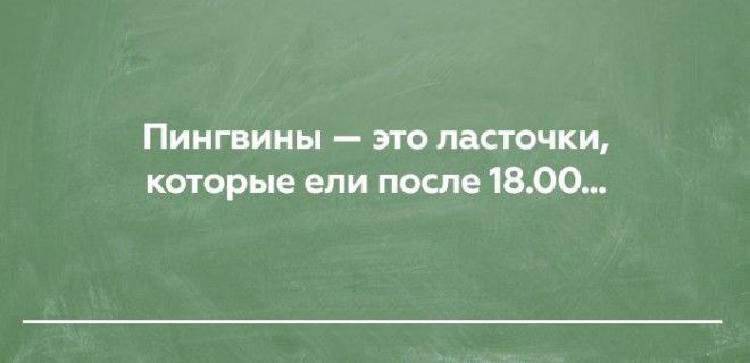 20 открыток о правде жизни, в которых Вы обязательно найдете что-то свое 20 открыток о правде жизни, в которых Вы обязательно найдете что-то свое