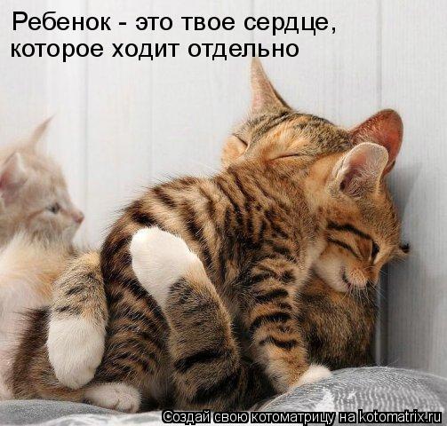 Ура!! Пятница - котоматрица!!! Ура!! Пятница - котоматрица!!!