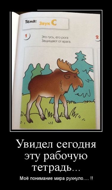 Прикольные картинки для зарядки хорошим настроением. Всем добрых событий на сегодня!!!! Прикольные картинки для зарядки хорошим настроением. Всем добрых событий на сегодня!!!!