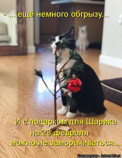 Котоматрицы для подзарядки позитивом))) Котоматрицы для подзарядки позитивом)))