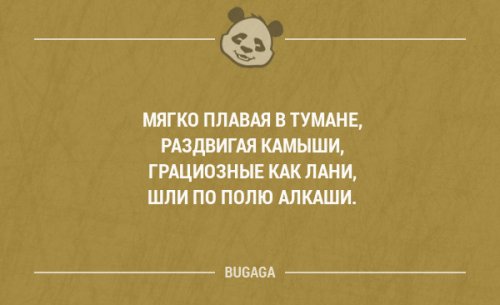 Прикольные фразы в картинках с надписями (17 шт)