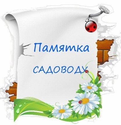 Памятка садоводу