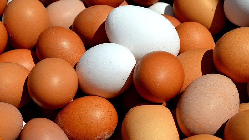 Яичные белки вызывают резкие изменения в микробиоме