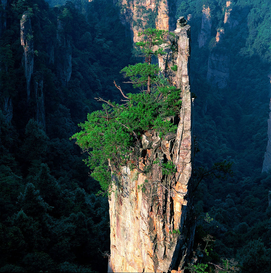 Китай в объективе Thierry Bornier Китай в объективе Терри Борнье