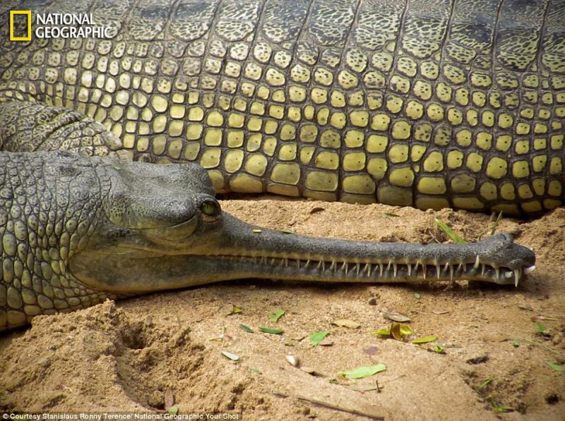 Подборка замечательных фотографий от National Geographic