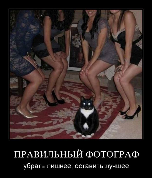 Демотиваторы, правильный фотограф... Демотиваторы, правильный фотограф...
