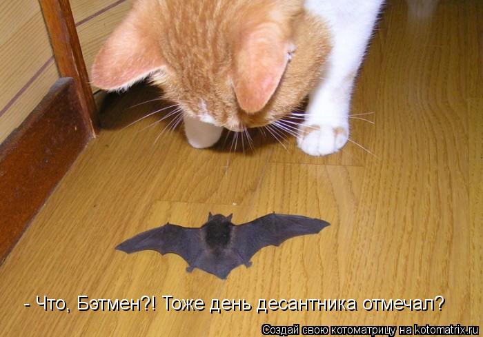 - Что, Бэтмен?! Тоже день десантника отмечал?... Котоматрица: - Что, Бэтмен?! Тоже день десантника отмечал?
