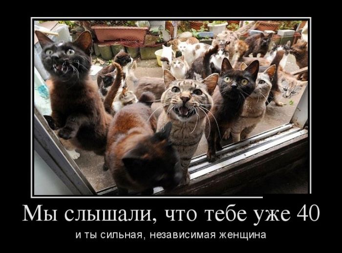 Демотиваторы - 936 Демотиваторы - 936