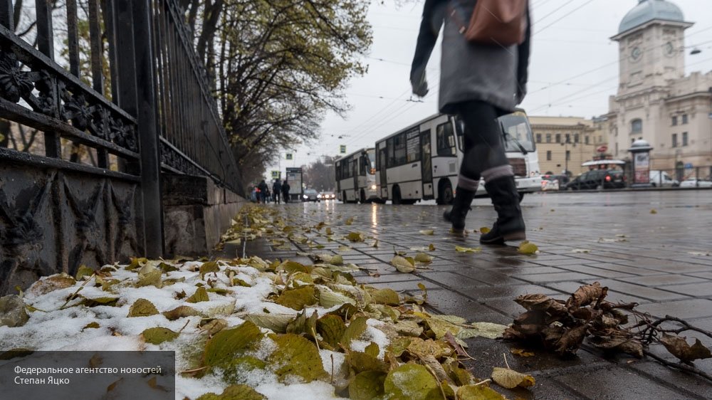 Синоптики рассказали, когда в Петербурге похолодает и выпадет первый снег