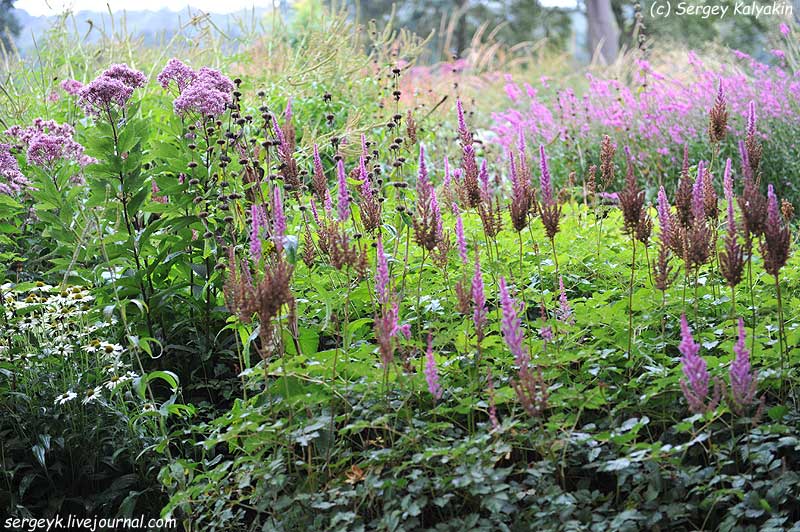 Trantham Gardens 423.JPG Trantham Gardens 423.JPG