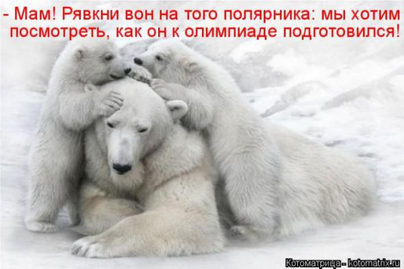 �����������(�������� � ���������)