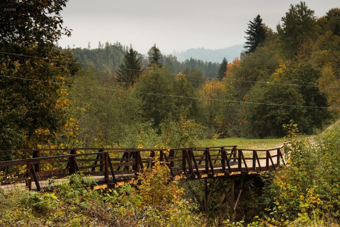 Осень в Крыму и Карпатах (103 фото)