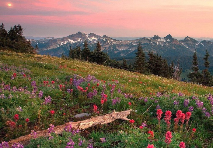 3085196_0_6e0ef_55eb738_XXL (700x489, 148Kb)