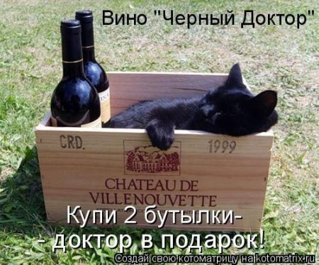 котомашечки от Лисицы))