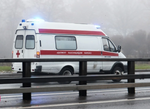 Собака перегородила дорогу машине скорой, медбрат попытался ее прогнать, но пес упрямо возвращался