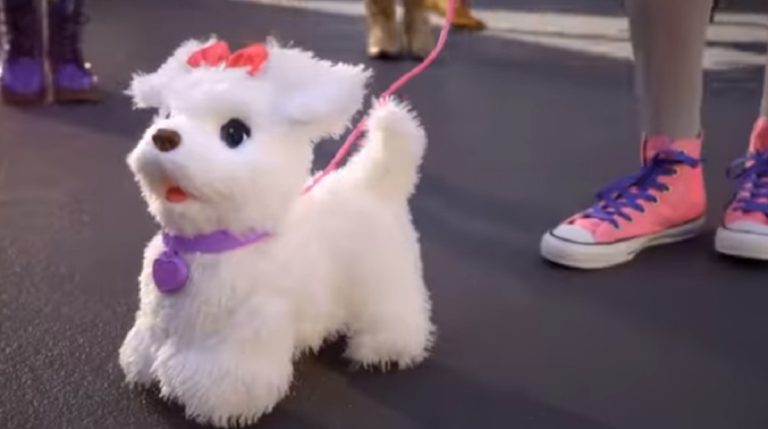 stuffed dog 18032020 stuffed dog
