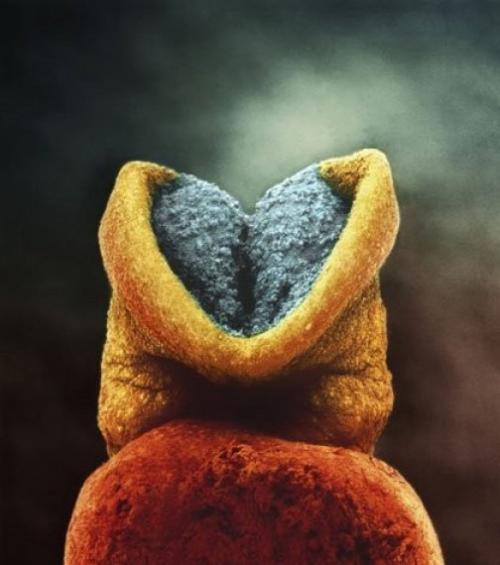 ���������� ������: ����� �������� - ������������ �� �������� ����.