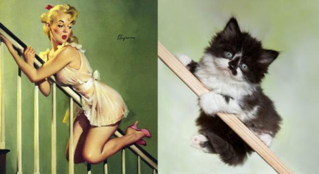 Арт-проект «Cats That Look Like Pin Up Girls» Арт-проект «Cats That Look Like Pin Up Girls»