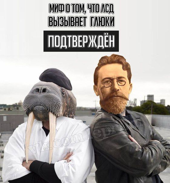 Немного юмора Немного юмора