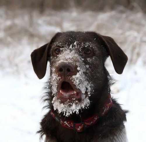 Нельзя прожить, увы, без мата. Матерное 4