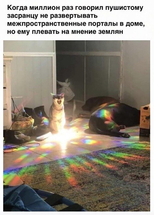 Новые смешные картинки!