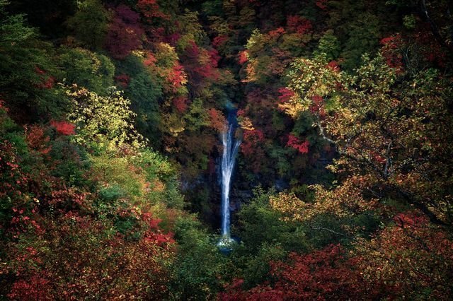 Фотографии National Geographic 2018 Натура, животные, природа